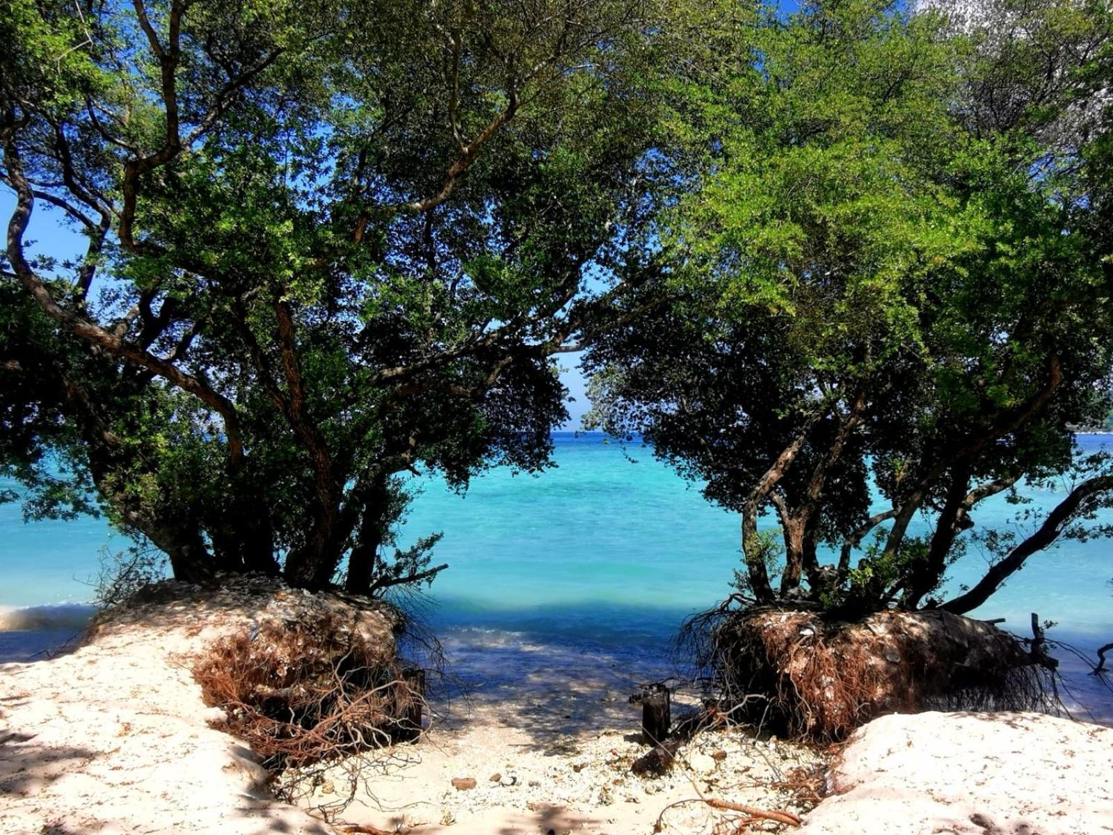Exotic House Villa Gili Meno Eksteriør bilde