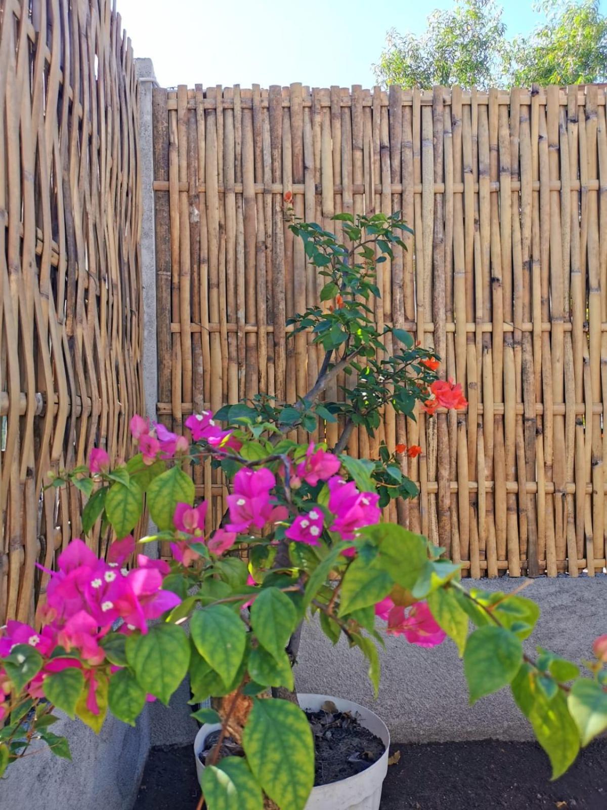 Exotic House Villa Gili Meno Eksteriør bilde