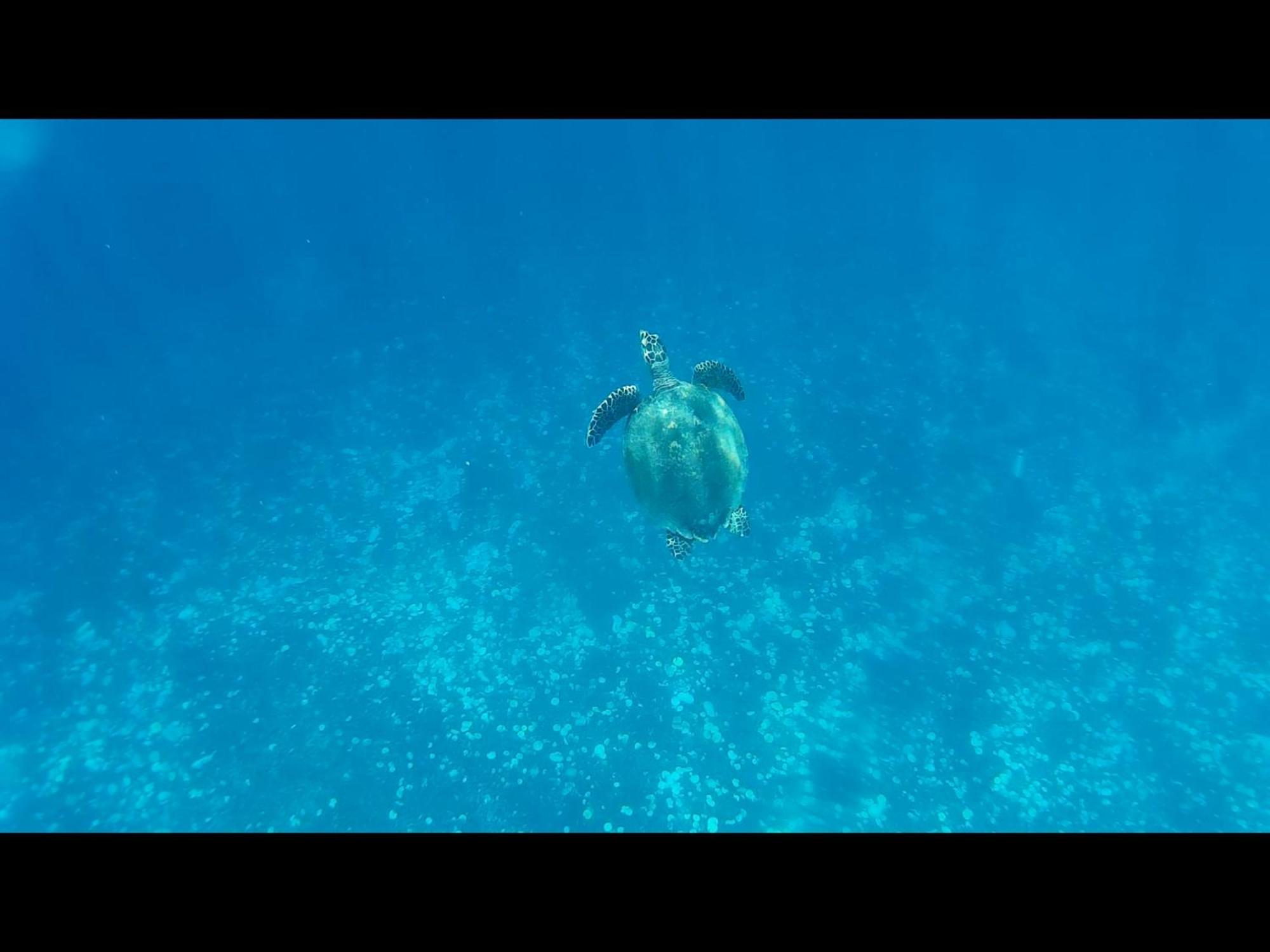 Exotic House Villa Gili Meno Eksteriør bilde