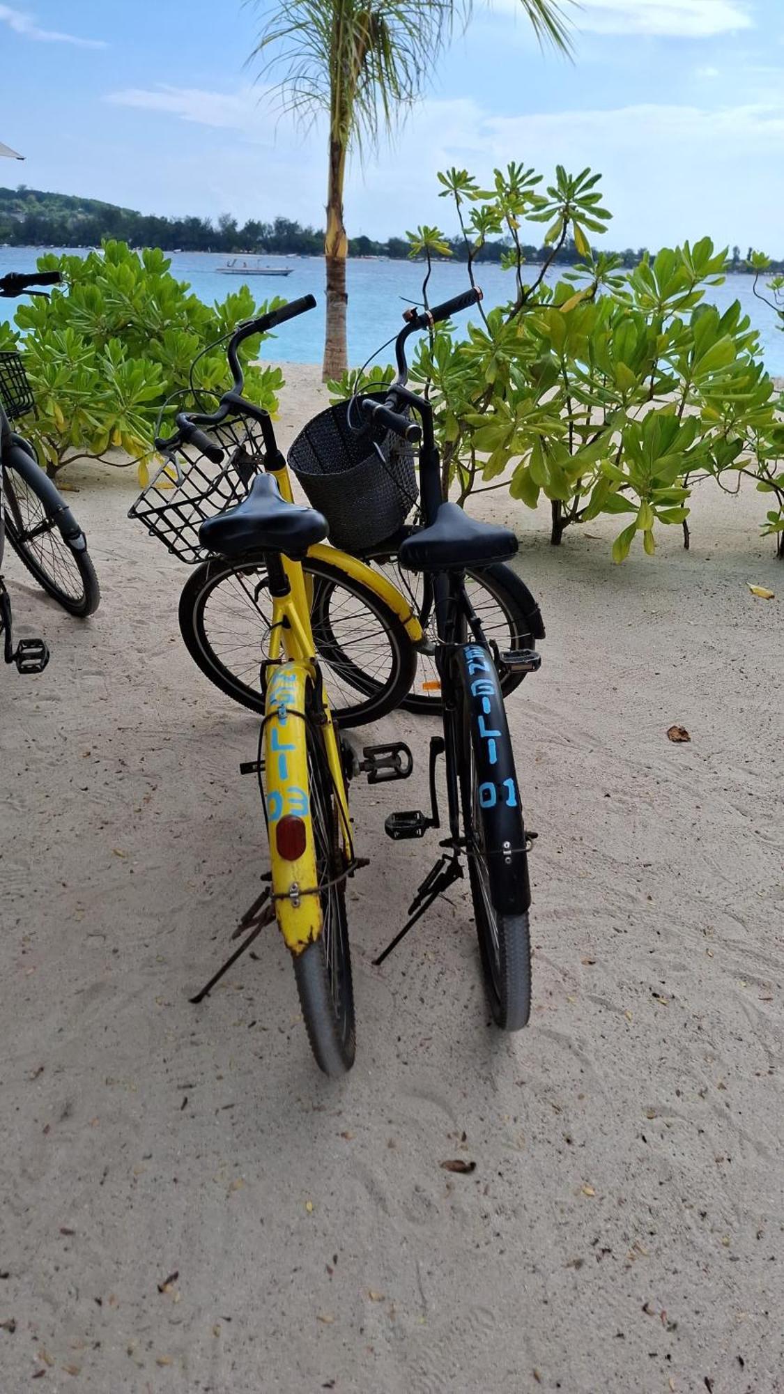 Exotic House Villa Gili Meno Rom bilde